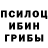 Галлюциногенные грибы Psilocybine cubensis Robin Rice
